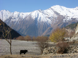 Annapurna Sanctuary