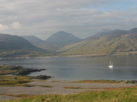 Whale & dolphin conservation in Scotland
