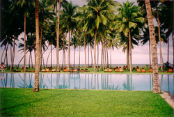 Honeymoon to Sri Lanka