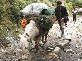 Himalayas whitewater rafting & trekking holiday