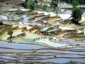 Overland group tour to Asia
