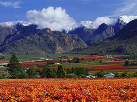 Cape winelands self drive holiday, South Africa. Travel like a local Cape winelands self drive holiday, South Africa. Travel like a local