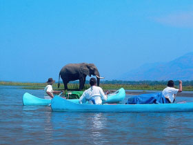 Small group safaris to Zambia
