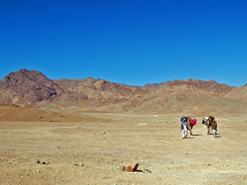 Cheap Holidays to Mt. Umm Shomar trek in the Sinai, Egypt from 325 EUR provided by Responsible Travel