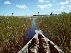 Botswana family adventure holiday