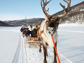 Sami culture holiday, Finnish Lapland