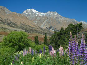 Cheap Holidays to New Zealand holiday with Fiji stopover from 2,390 GBP provided by Responsible Travel