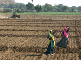 Rajasthan tailor made tours, India