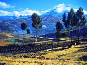Southern Peru tour, including Bolivia