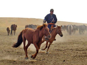 Mongolia horse riding holiday, Arkhangai Mountains