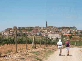 Small group holiday in Rioja, Spain