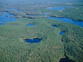 Wild Taiga wilderness area in Finland