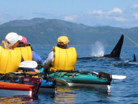 Vancouver Island kayaking tours, Canada