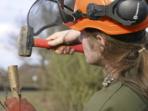 Hedge laying in the UK