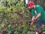 Woodland management in the UK