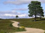 Cycling holidays in Scotland
