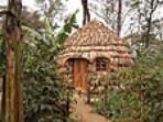 Kilimanjaro foothills and safari in Tanzania