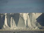 Bird watching cruise, New Zealand to Antarctica