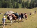 Mercantour National Park self guided walking holidays