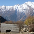 Annapurna Sanctuary trekking holiday