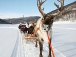 Sami culture holiday, Finnish Lapland
