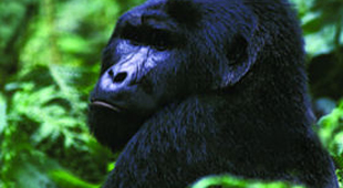 Uganda holidays
