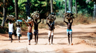 Gambia New on the site holidays
