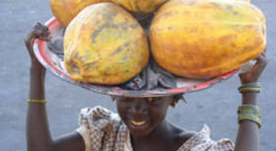 Mauritania holidays