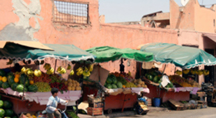 Morocco Special interest holidays