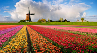 Netherlands holidays