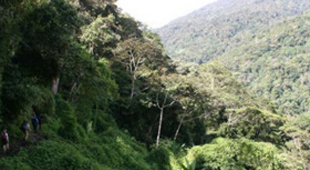 Papua New Guinea holidays