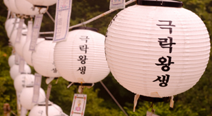 South Korea Budget travel holidays