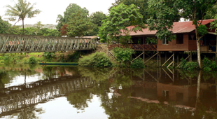 Borneo holidays