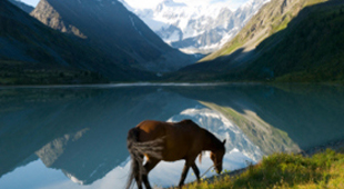 Altai Republic holidays