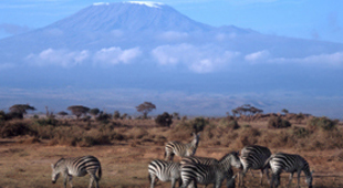 Amboseli National Park holidays