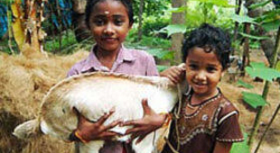 Kerala accommodation