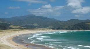 North Island accommodation