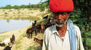 Rajasthan holidays