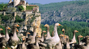 Dordogne accommodation