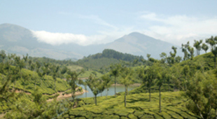 Tamil Nadu accommodation