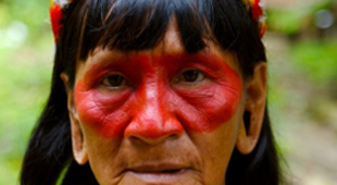 Peruvian Amazon accommodation