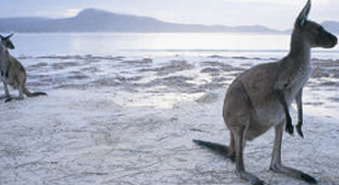 Western Australia holidays