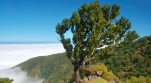 Madeira holidays