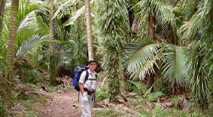 Kahurangi holidays