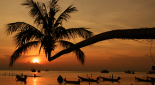 Koh Tao holidays