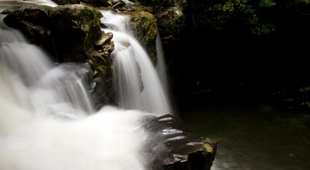 Atherton Tablelands holidays