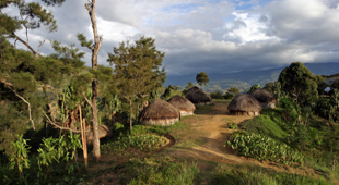 Kokoda Track holidays