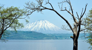 Hokkaido holidays
