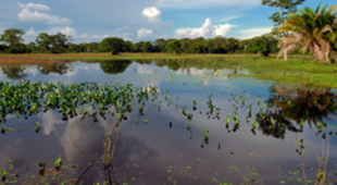 Pantanal holidays
