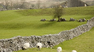 Yorkshire Dales holidays